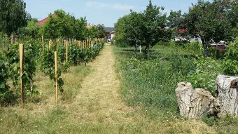 Pozemok 1549 m2 Starý Dom Veľká Maňa - 6