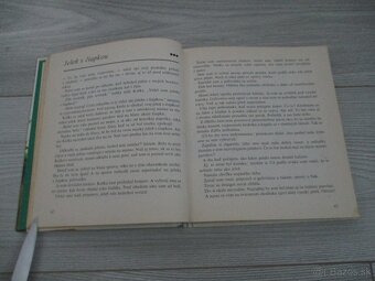 Z poľovníckej kapsy - 6