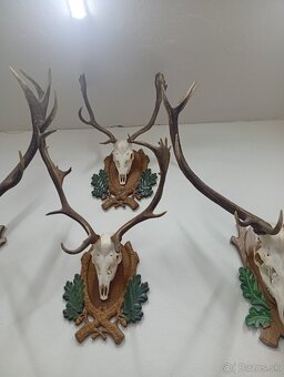 Parozie trofeje zhody - 6