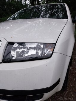 Fabia - 6