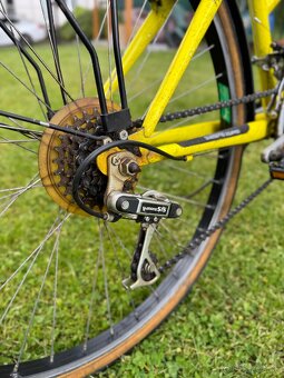 Dámsky bicykel Fort Trauma - 6