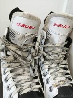 BAUER - 6