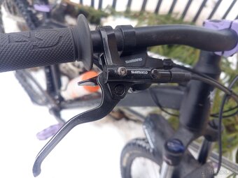 Vedora Camouflage 2019 - 6