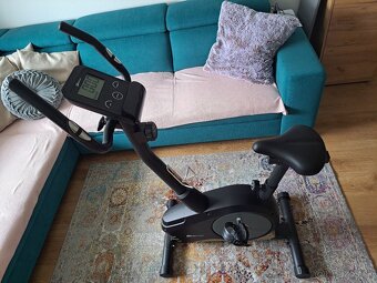 Rotoped Hop-sport HS-2080 Spark cierno-zlaty - 6
