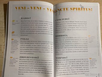 YOUCAT Príprava na birmovku - Bernhard Meuser Nils Baer - 6