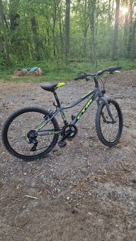 CTM 24" BERRY 1.0 HORSKY JUNIORSKY BICYKEL - 6