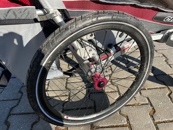 Thule chariot CX1 - 6