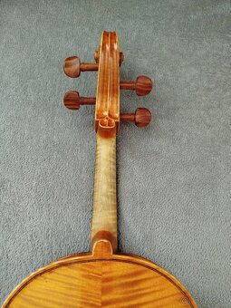 Viola - 6