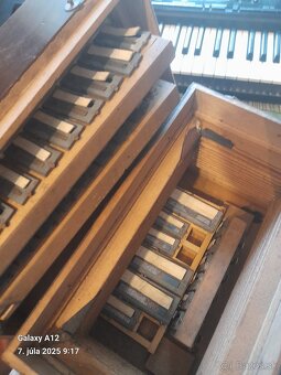 Heligonka favorit - 6