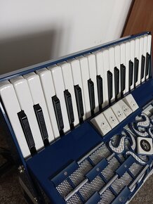 akordeon-harmonika - 6