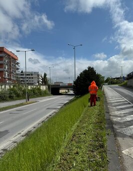 Kosenie,strihanie, uprava terénu - 6