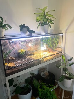 Terárium s kovovým stojanom - 6