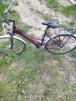Bicykle - 6