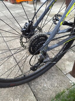 Bicykel CTM Rein - 6
