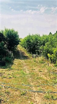Pozemok s rozlohou 1524 m2 na predaj, obec Vydrany - 6