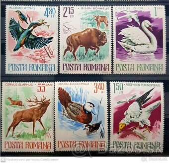 Fauna svet - 6
