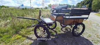 Bryčka, koč, koňský povoz, vagoneta H340 - 6