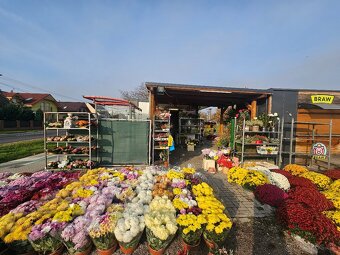 OBCHODNÝ PRIESTOR BERNOLÁKOVO - 6