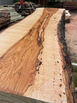 JASEŇOVÉ REZIVO OLIVE ASH / Očkové drevo / Live edge - 6