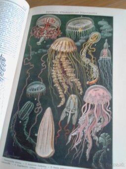 Meyers Lexikon (1925-27) - 6