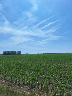 3460m2 pozemok Veľká Paka - 6