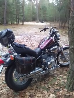 YAMAHA VIRAGO 1100 - 6