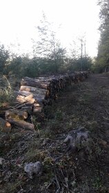 Predam tvrde palivove drevo suche 10m -520euro s dovozom - 6