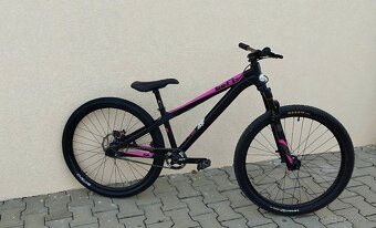 DEMA Befly Custom - 6