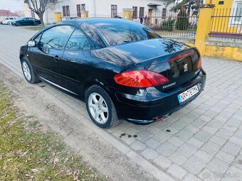 Peugeot 307 - 6