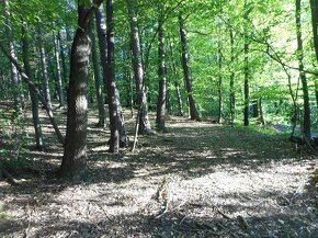Pozemok v krásnom prostredí pri lese,na okraji obce Drietoma - 6