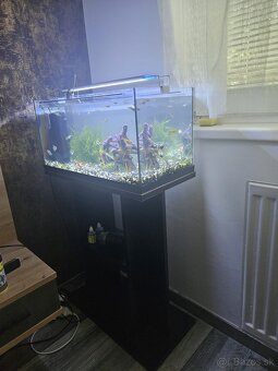 Komplet akvarium 54l + stol + ryby +dekoracie + doplnky - 6