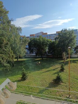 PEKNÝ 2IZB PO REKONŚTRUKCII PRI BILLE - 6