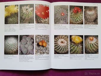Ilustrovaná encyklopédia kaktusov v angličtine - 6