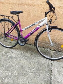 Bicykel trekingovy olpran Mercury - 6