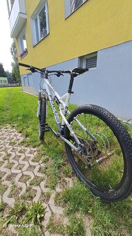 FOCUS SUPER BUD
29R - 6