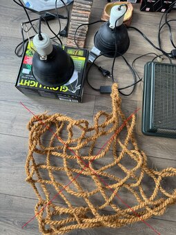 veci po chove agamy bradatej - 6