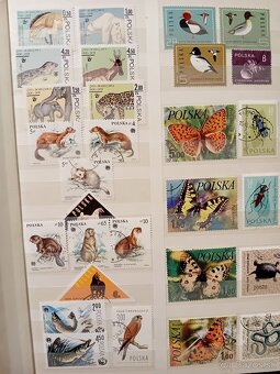 Známky Polsko v albume - 6