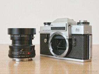 Leicaflex SL / Summicron 50mm f2 (2-CAM) - 6