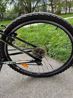 Juniorský bicykel CTM Terrano 1.0 - 6