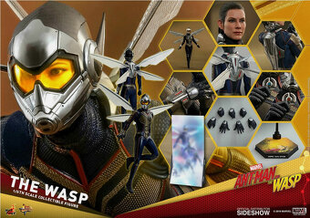 Ant Man a Wasp Hot toys MMS497+MMS498 - 6