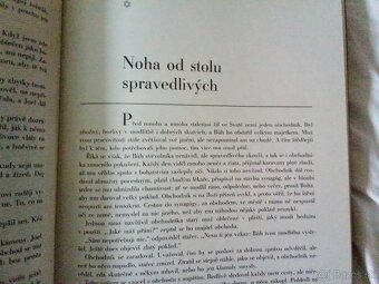 Osm světel, Leo Pavlát - 6