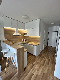 MODERNE ZARIADENÁ GARSÓNKA- SLNEČNICE - 6