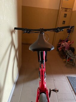 Scott spark - 6