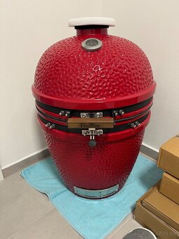 Pintinox BBQ Luxury Gril - 6