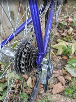 Buchel Shimano Exage 300 - 6