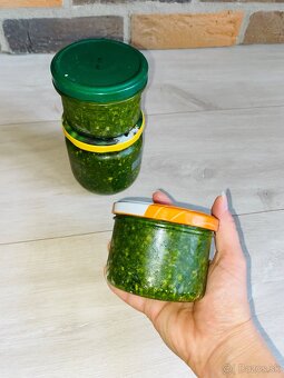 Pesto MEDVEDÍ CESNAK 2025 - 6