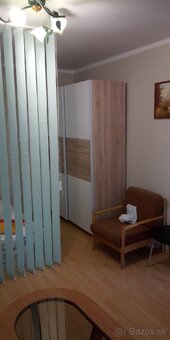 Prenajom 1 izboveho bytu - 6