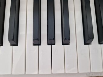 Klavir Thomann DP-31 - 6
