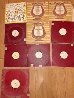 Platne - 6
