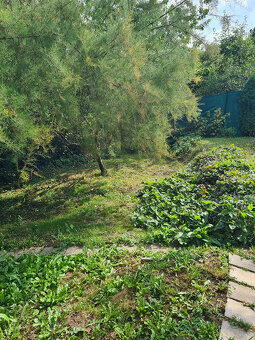 Záhrada s murovanou chatou s nádherným výhľadom - 6